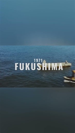 Fukushima: The Nuclear Disaster Years in the Making