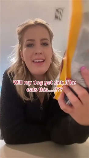 Dog food experts help me! Can my dog eat this
