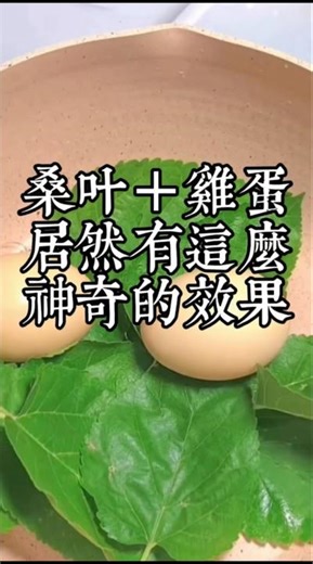 Can you believe it? The incredible benefits of mulberry leaves and eggs that most people don't kn...