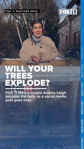 Will your trees explode in extreme cold like a viral social media post claims? FOX 11 Meteorologist Audrey Leigh breaks down the facts. | WLUK-TV FOX 11
