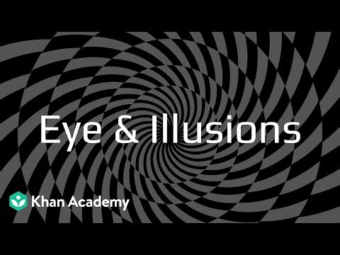 Eye and Illusions | Sense Organs | Class 9 | Biology | Telangana | Khan Academy