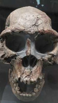 Our Ancestors Were Outnumbered 10 to 1