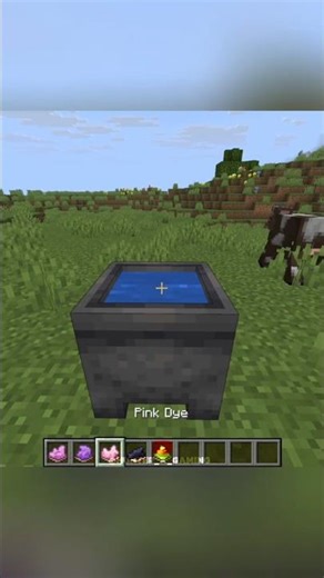 Minecraft Java Vs Bedrock Differences! 🤯🔥#minecraft #shorts