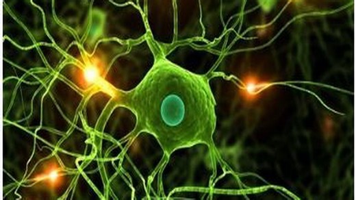 Udemy - Data Science: Deep Learning and Neural Networks in Python