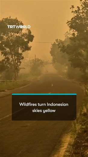 Skies turn yellow as wildfires rage across Indonesia provinces
