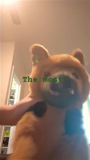 Explanation in Desc | Adele, YukiHaru, Original Enzo | April 15 | 18:28 | #essa