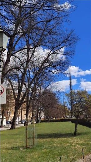 Helsinki City Center: Most Beautiful Parks #shorts