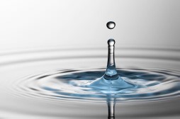 “尔克儿童”发布《全能少年运动成长计划》