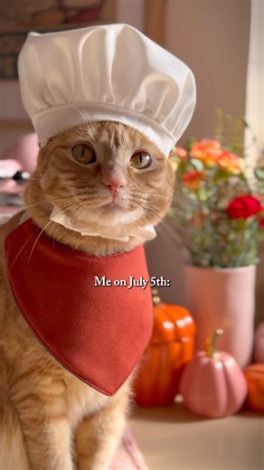 Me on July 5th 🎃 #halloween #fallvibes #cutecat