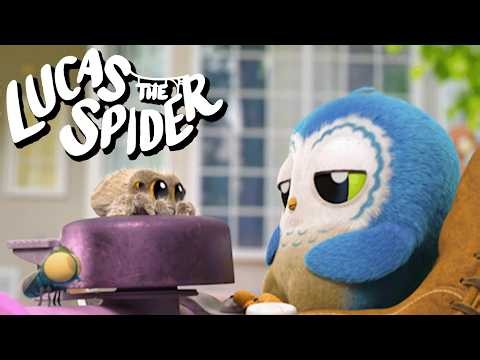 Arlo Finally Takes a NAP! + More Lucas the Spider Cartoons for Kids