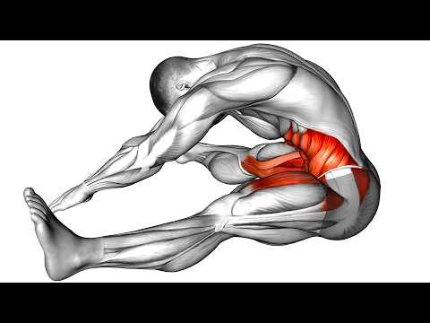 Do These Exercises in The Morning!