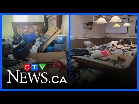 Rental issues in 2025: Bad tenants, questioning business practices