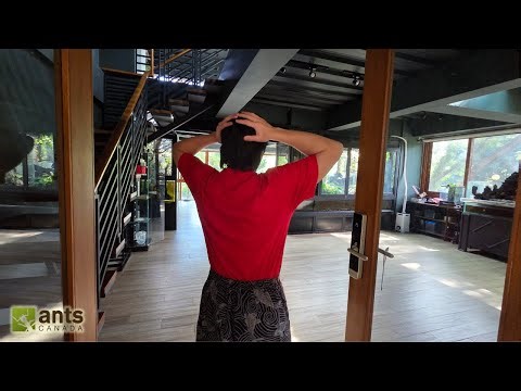 Touring My Brother Around My Vivariums, Ant Room, and Giant Home Aviary