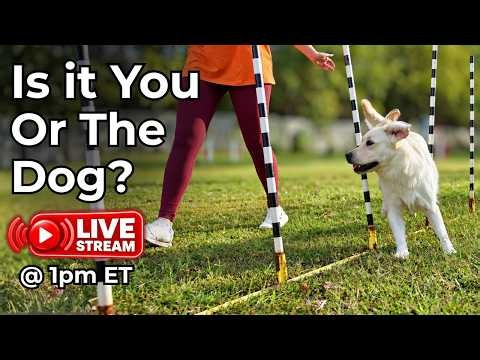 Could Your Biggest Strength Be Holding You Back in Agility?