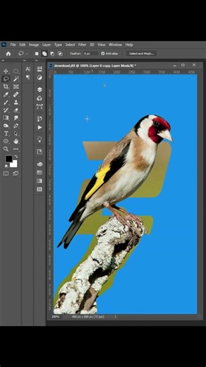 Amazing Effect 🔥 Photoshop #shorts #birds #photoshop