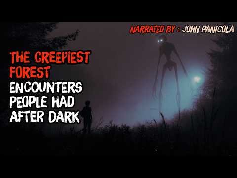The Creepiest Forest Encounters People Had After Dark