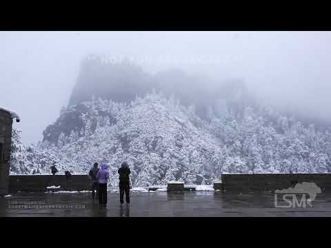 04-24-2026 Keystone, SD - Heavy Spring Snowfall at Mt Rushmore Bends Trees