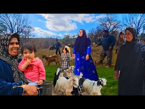 A Hidden Paradise in Iran: An Unforgettable Journey to the Zagros Forests