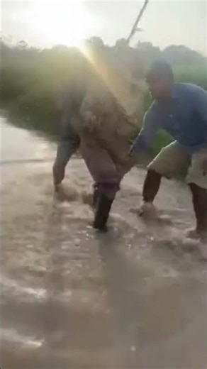 Giant Snake Attacks Woman in River 😱