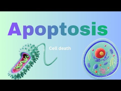 Cell death by apoptosis explained (Robbins Pathology)#pathology #aiims #apoptosis #robbins