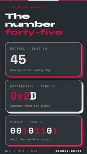 Number Forty Five in Binary, Hexadecimal, and Decimal