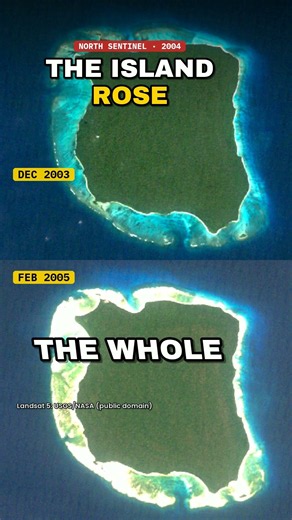 An Earthquake Lifted This Entire Island