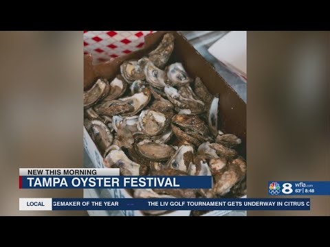 7th Annual Tampa Oyster Festival Happening This Weekend