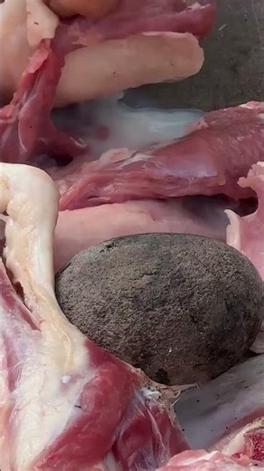 Tender Stewed Meat and Vegetables: A Delicious Feast