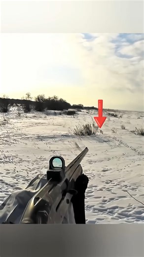 Insane Close Shot on Wild Rabbit – Blink and You Miss It! 🐇 #кролик #hunting #wildlife #wildboar
