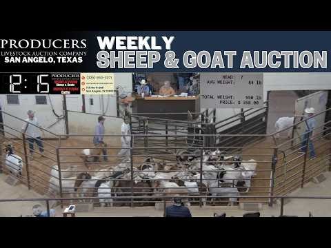 PRODUCERS LIVESTOCK AUCTION COMPANY | Day 2 Sheep & Goat Overflow Session | 5.6.26