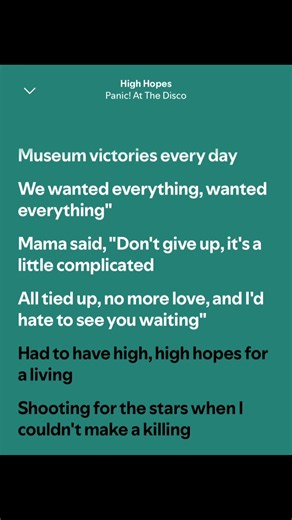 High Hopes - Panic! At The Disco [Lyrics] #spotify #lyrics #fyp #viral #foryoupage