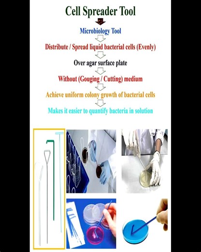 Principle of Cell Spreader Tool #geneticteacher