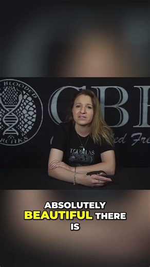 Why Frogs Are the NEXT BIG Thing in Pet Enclosures!