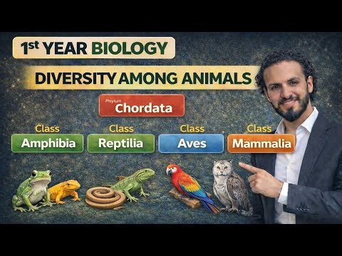 L7: Classes of Chordata | Amphibia, Reptilia, Aves, Mammalia | Diversity among animals by Tutor