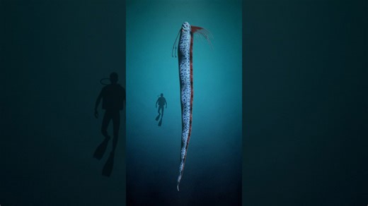 This creature rises from the deep – then disasters follow