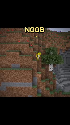 minecraft Pro vs noob Player moment