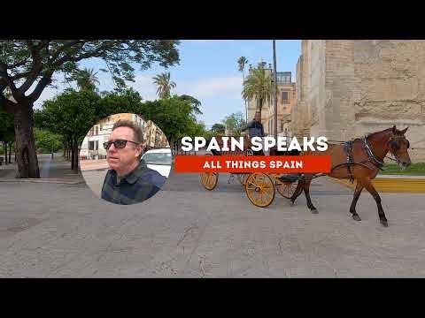 Chaos in Barcelona as Spain Opens Mass Migrant Amnesty - Spain news update
