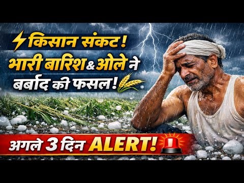 🔥 Heavy Rain & Hailstorm Wreck Farmers’ Crops, Severe Weather Alert for Next 3 Days
