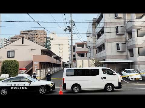 住宅街にクマ、駆除 体長１．５メートルの成獣 仙台市