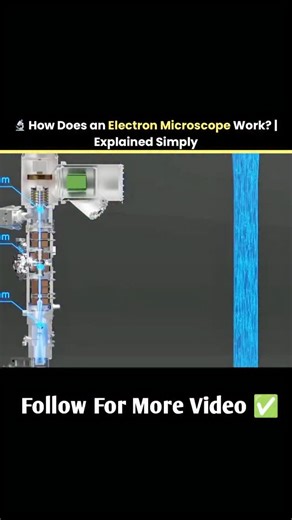 Science Xplained on Instagram: "🔬 How Does an Electron Microscope Work? | Explained Simply It doesn’t use light… it uses electrons! ⚡ That’s how scientists can see atoms, viruses, and nano-scale details invisible to normal microscopes. Science ka next level! 🤯 #ElectronMicroscope #ScienceExplained #Nanotechnology #PhysicsFacts #ScienceReels #TechExplained #MicroscopeLife #STEM #AmazingScience #EducationalReels #ScienceDaily #NanoWorld #EngineeringFacts #LearnScience"