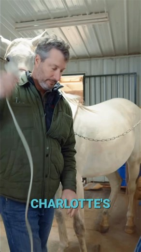 Watch the full episode on my YT channel!🐴 Link is in the comments⬇️ | Katie Van Slyke