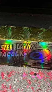 Master roaring peacock 72 shot #fireworks