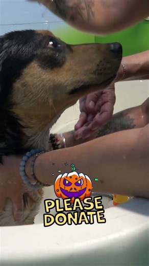 Halloween bath