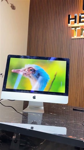 Apple iMac's. Endless Possibilities.🔥