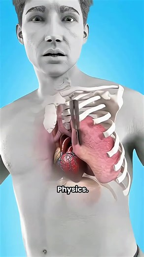 Fascinating Physics Experiments You Need to See