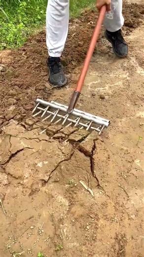 The Best Tool for Hard Clay Soil? 🧐