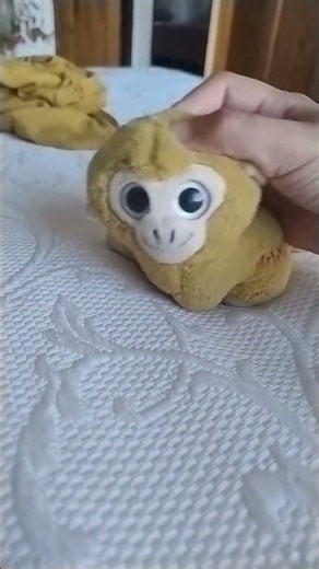 que loca celvesa i io soy omelo chino