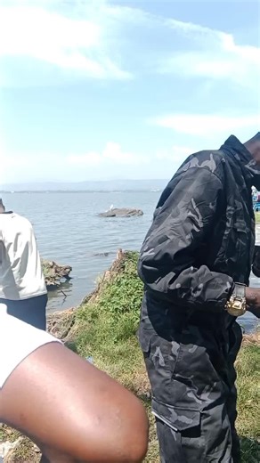 Kibera Youth Unity: A Fight for a Better Future