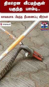 snake | ramanadhapuram | snakevideo | viralvideo