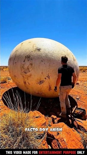 Giant Alien Egg Found in Desert… We Turned It Into a House! 😱🥚 #shorts